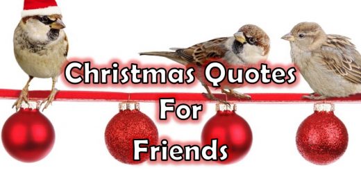 Christmas Quotes For Friends