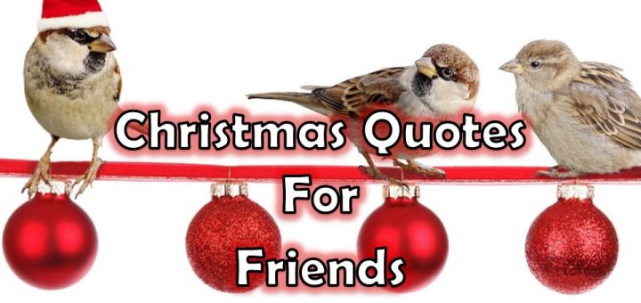Christmas Quotes For Friends