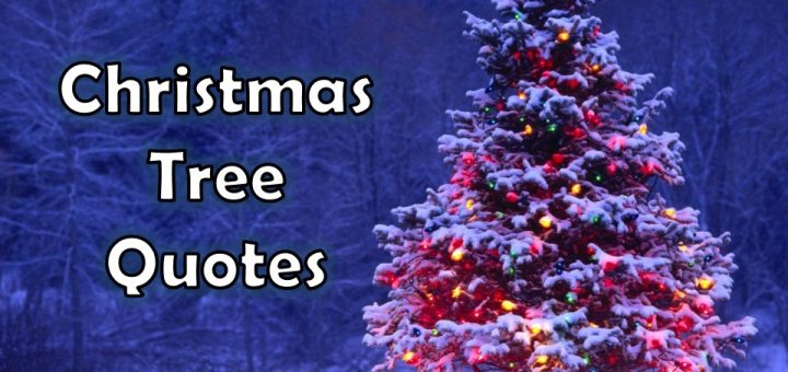 Christmas Tree Quotes
