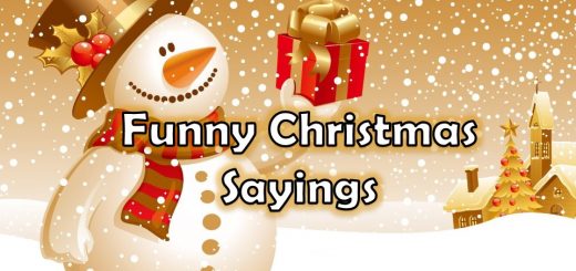 Funny Christmas Sayings
