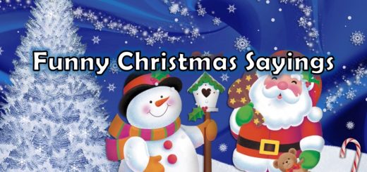 Funny Merry Christmas Sayings