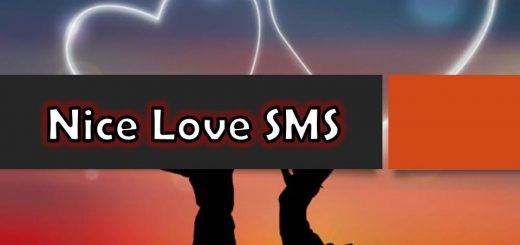 Nice Love SMS