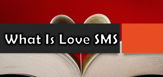 What Is Love SMS