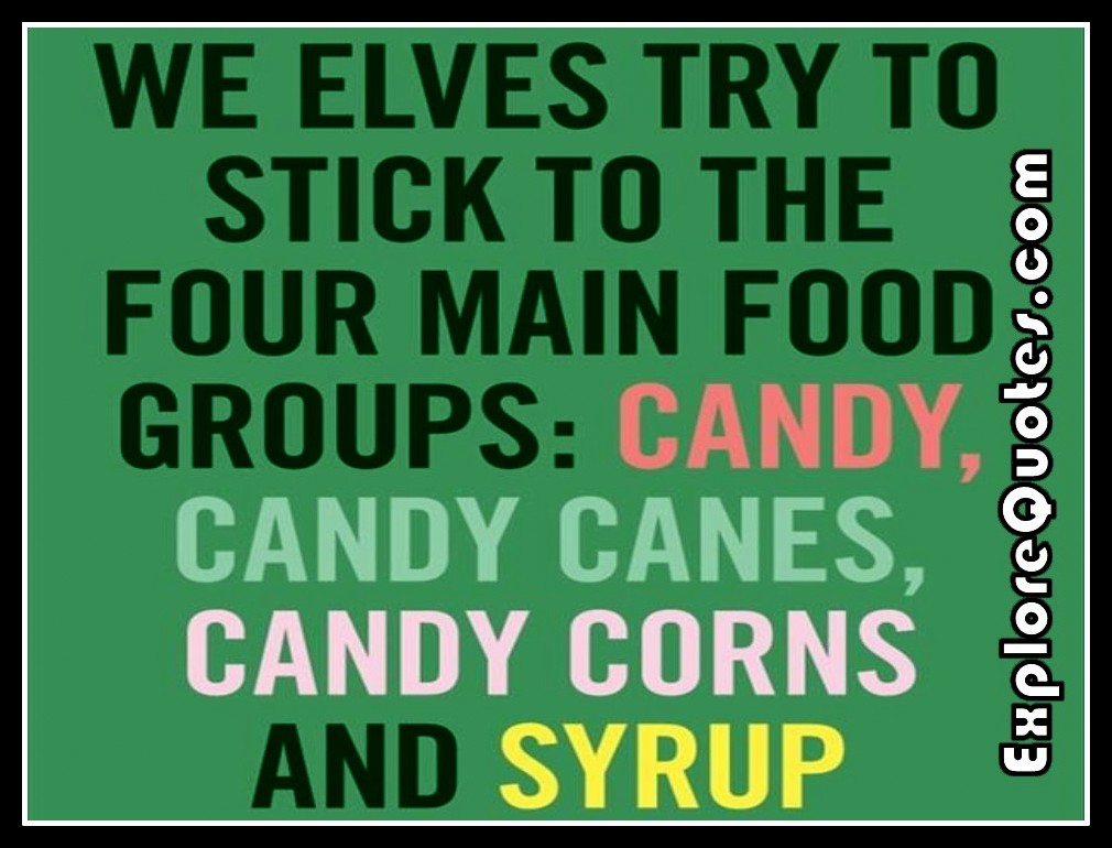 Funny Christmas Quotes - We elves try to stick