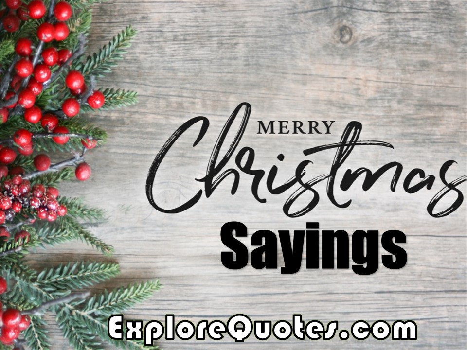 Merry Christmas Sayings Cute Funny Xmas Sayings For