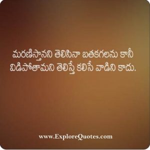 Telugu Love SMS, Telugu Love Messages For Him And Her | Love | Explore ...