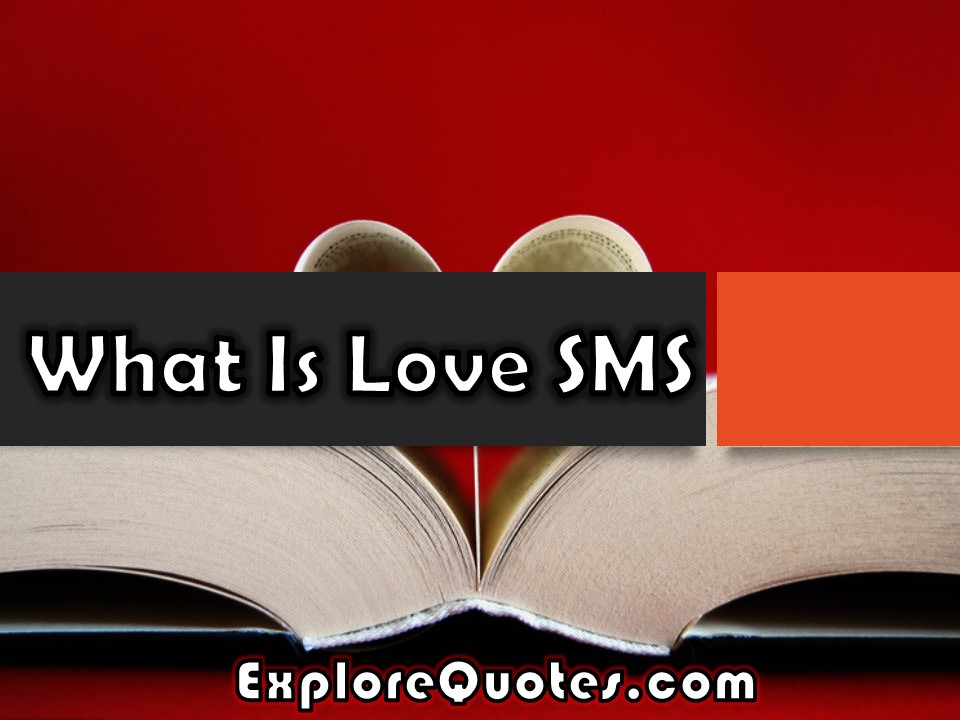 What Is Love SMS